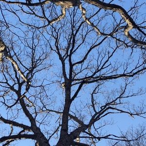 Meet your Posher, Kerri